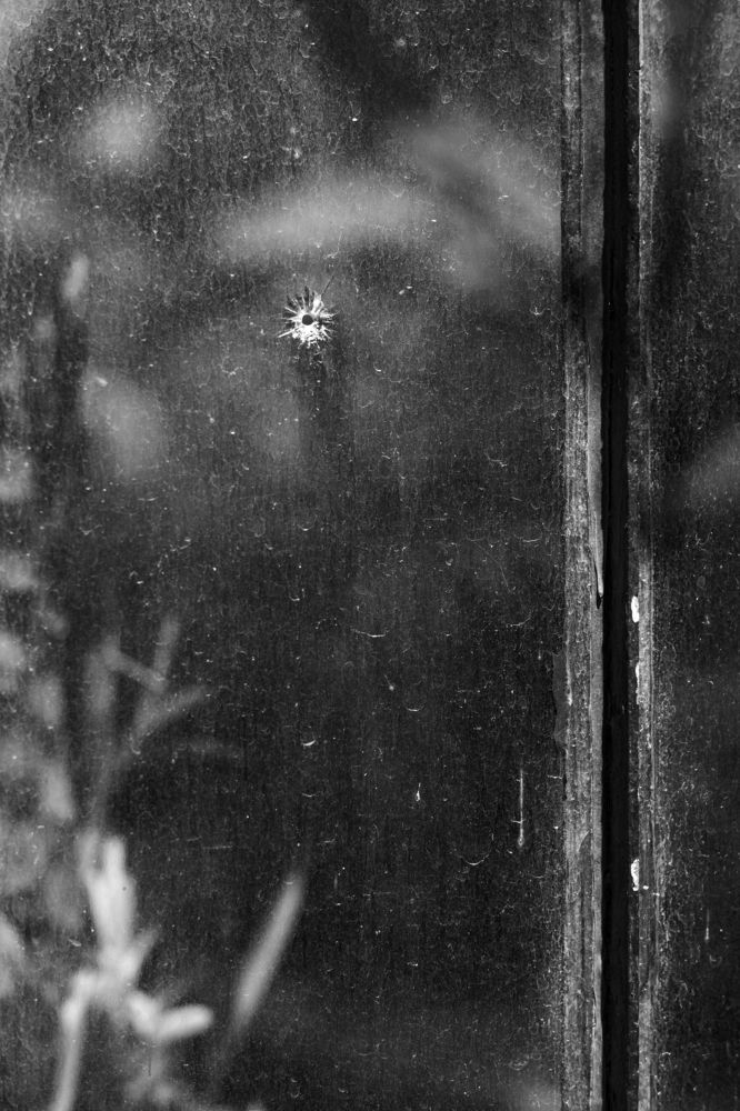 Photograph by Marcelo Cugliari