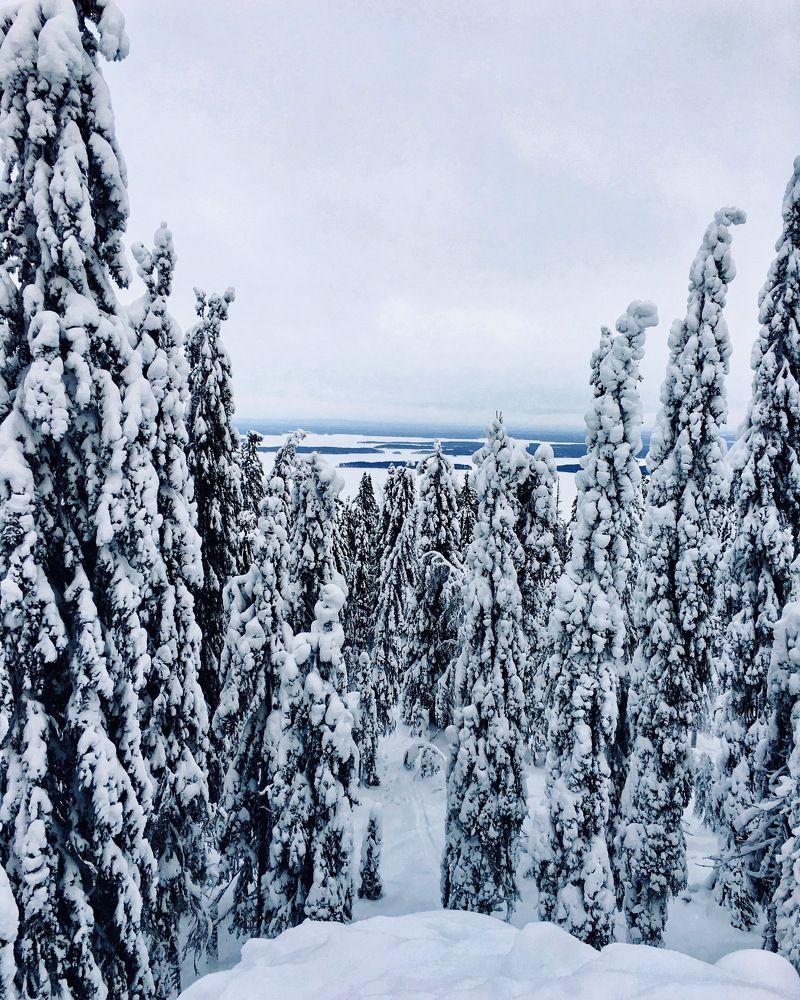 Photograph by Oksana Smorodina