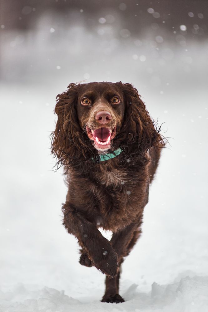 Фотография автора Андрей Красков