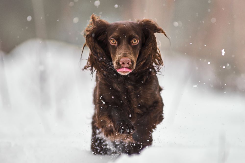Фотография автора Андрей Красков