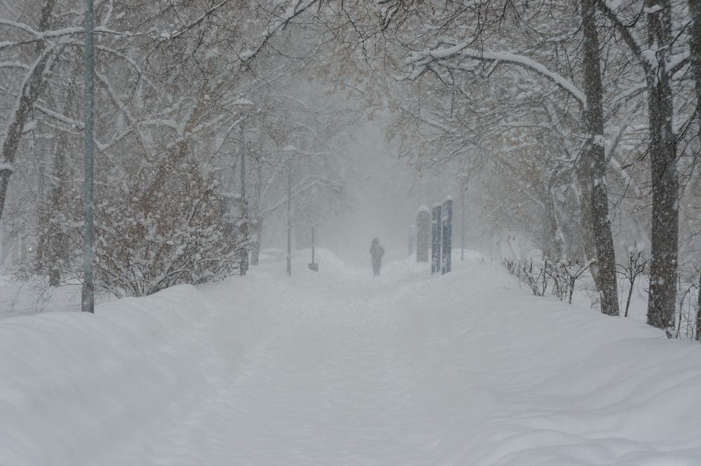 Photograph by Павел Герасимов