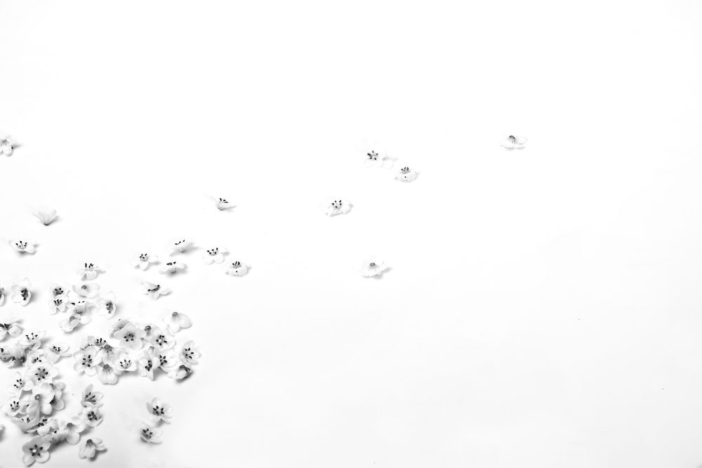 Photograph by Susie Castellano