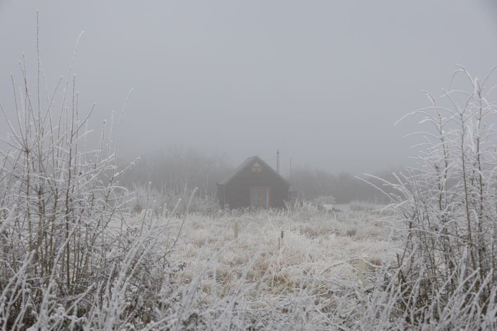 Фотография автора Оксана Мерзликина