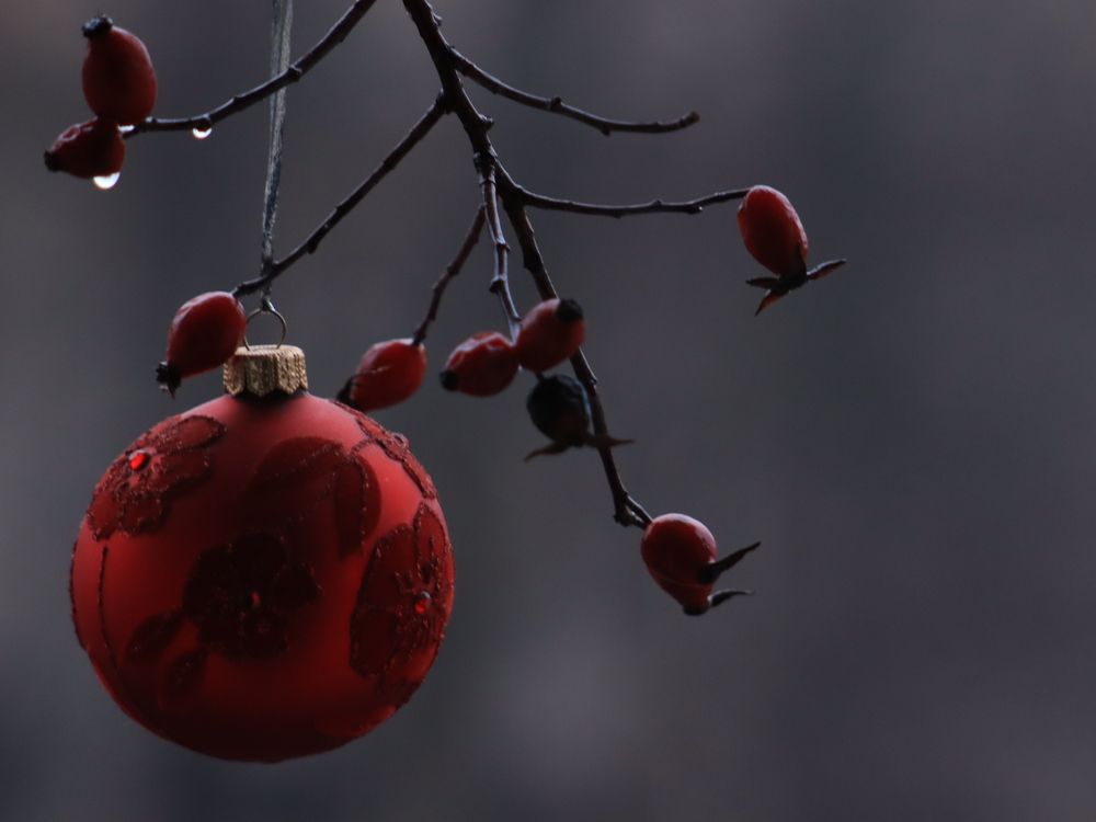 Photograph by Алина Туник