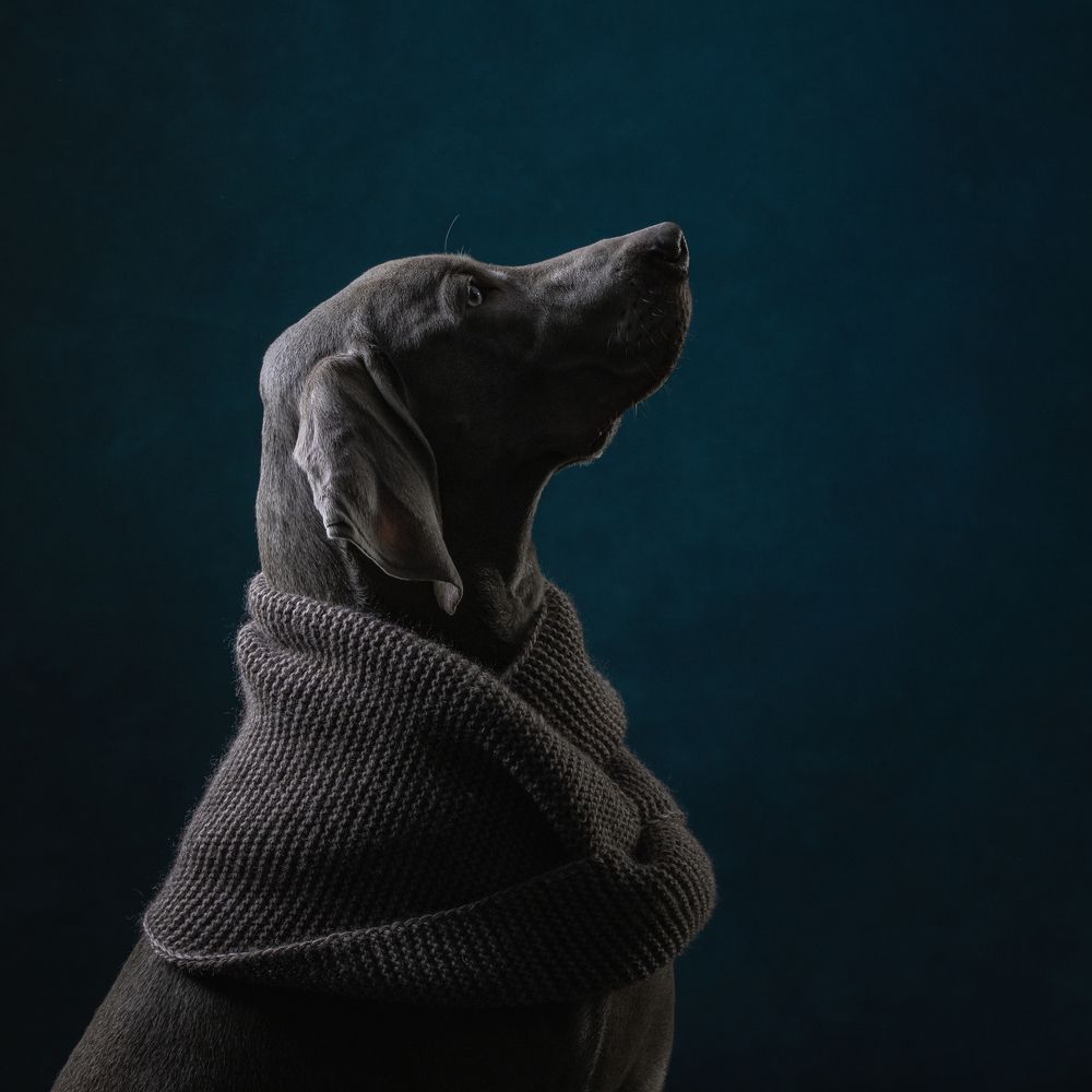 Photograph by Зубкова Юлия