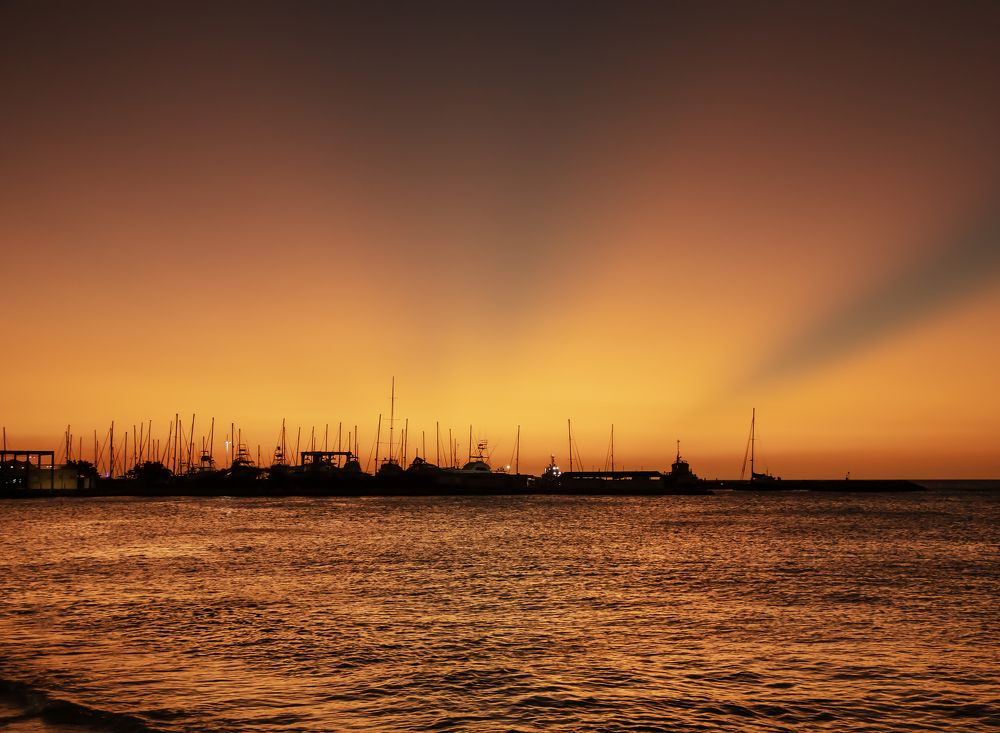 Photograph by Margoth Toro