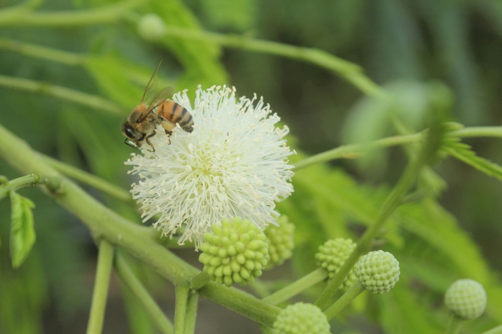 Photograph by CRINALDO REIS