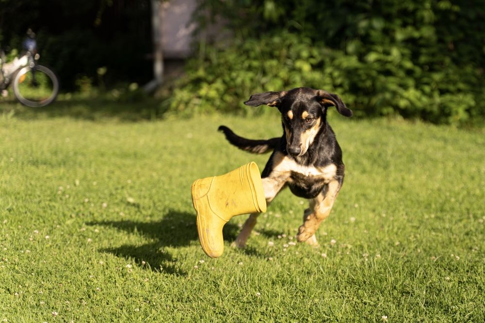 Photograph by Ольга Глазунова