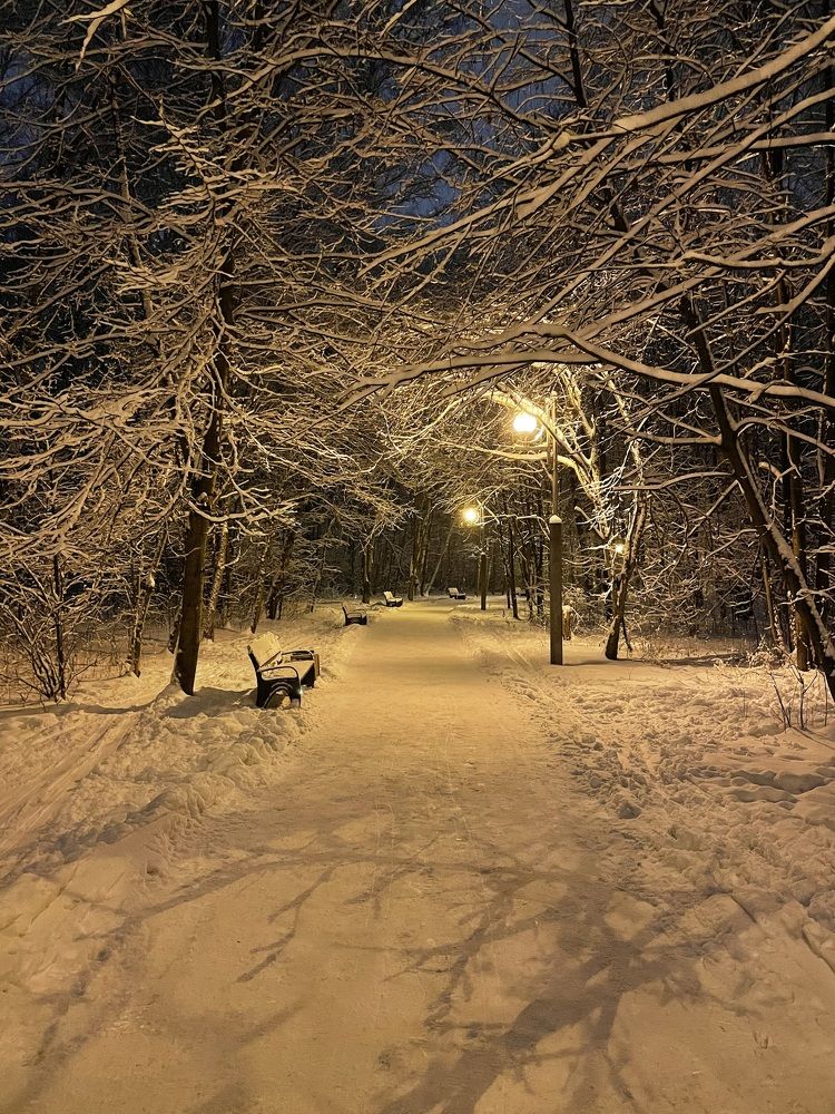 Photograph by Юлия Давшан