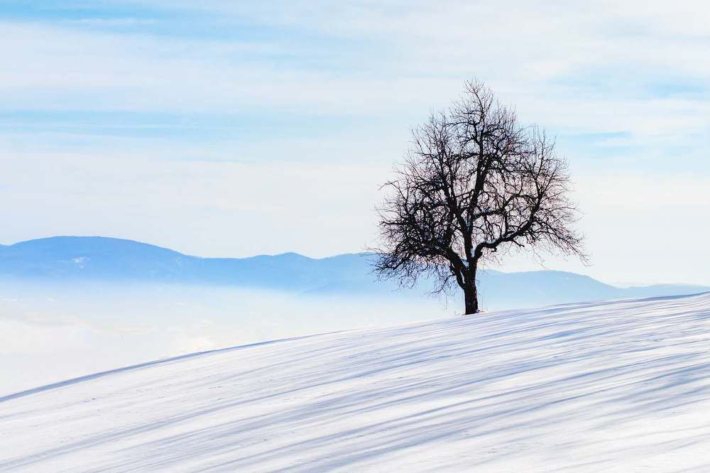 Photograph by Ivan Stojanovic