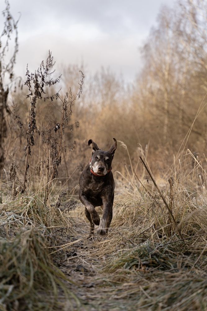 Photograph by Ольга Глазунова