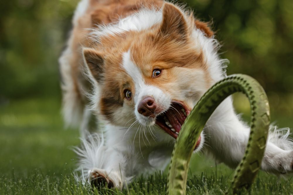 Photograph by Зубкова Юлия