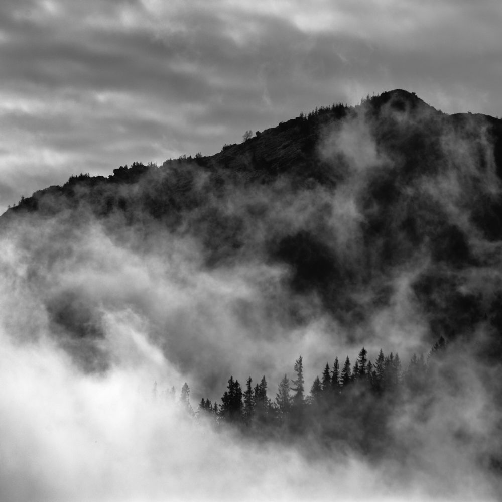 Photograph by Ivan Stojanovic