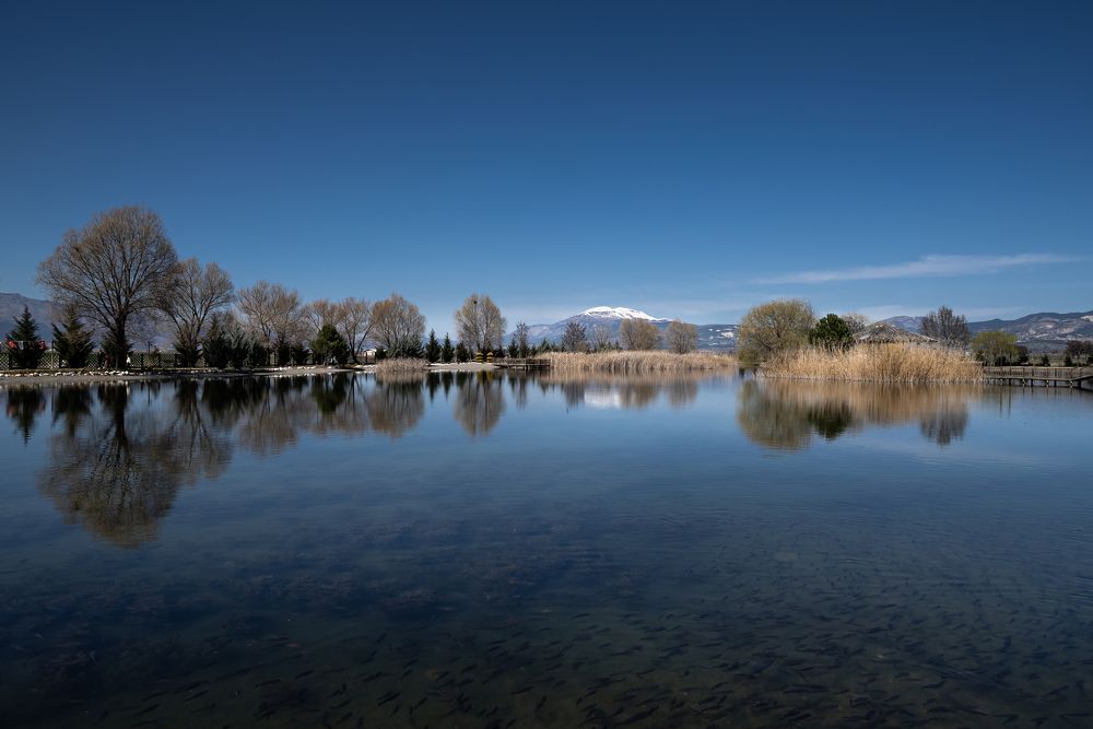 Photograph by Bahir DIBEKOGLU