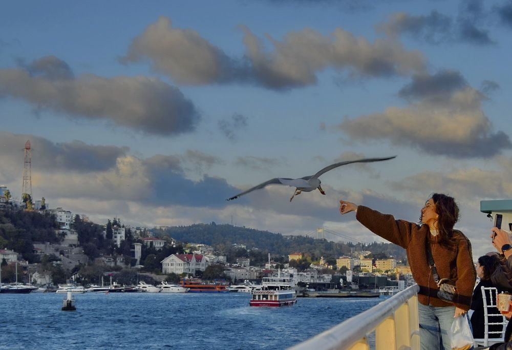 Покормить птицу с руки