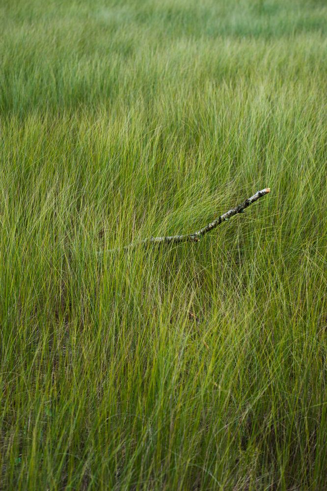 Photograph by никита шитиков