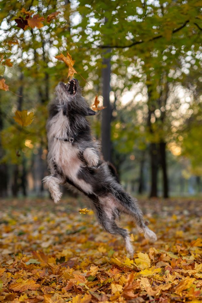 Photograph by Иван Грачев