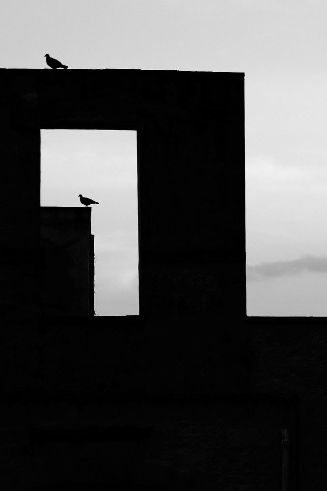 Photograph by Giuseppe Catalano