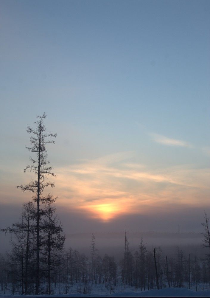 Photograph by Михаил Мархинин