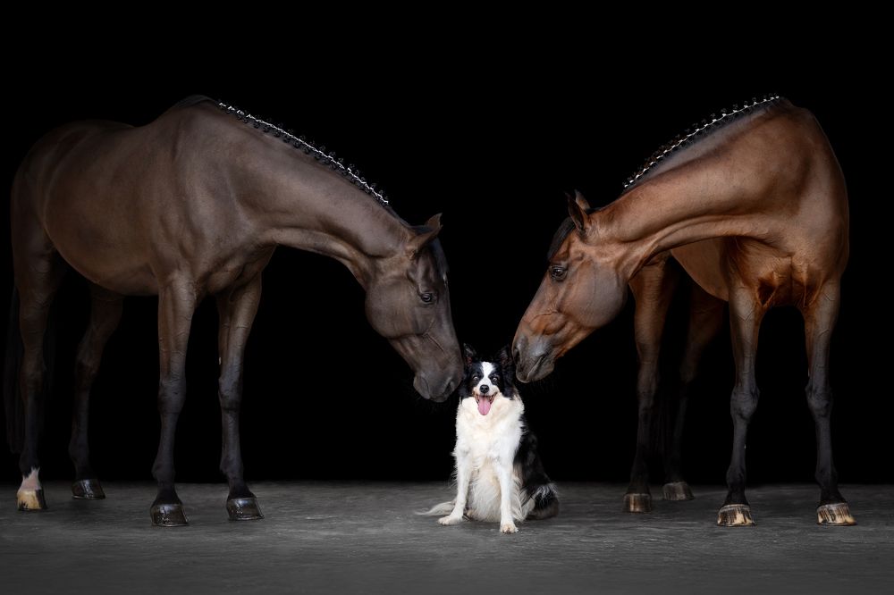 Фотография автора Camilla Cintra