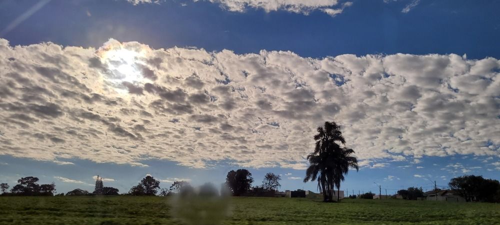 Photograph by Gilson Marcos Ferreira de OLIVEIRA