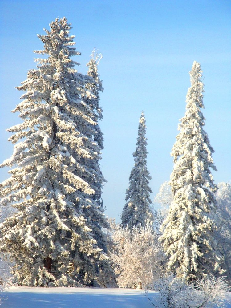 Photograph by Ольга Федякина