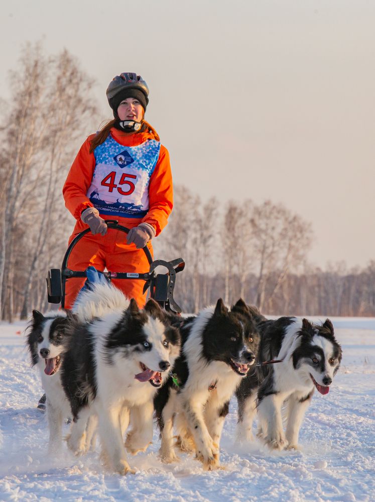 Photograph by Елена Павлова