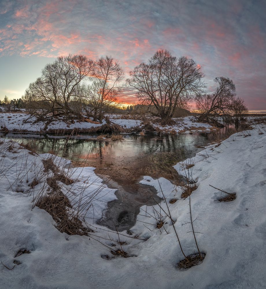 Photograph by Андреев Николай