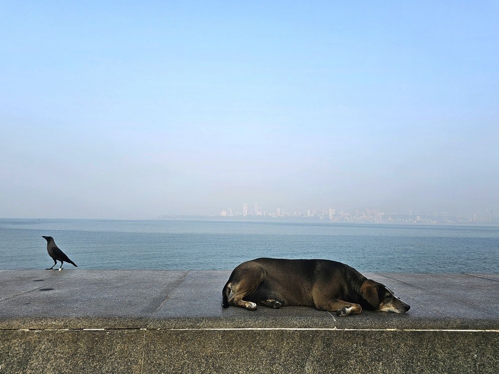 Photograph by Kriti Aggarwal