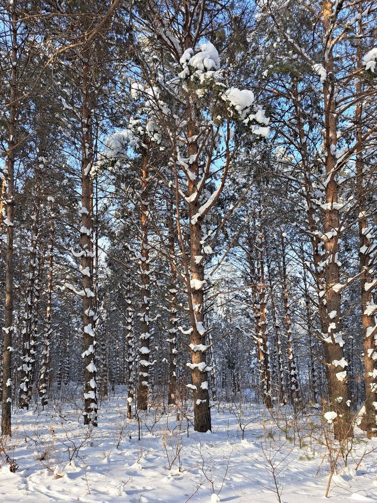 Photograph by Любовь Войтишина