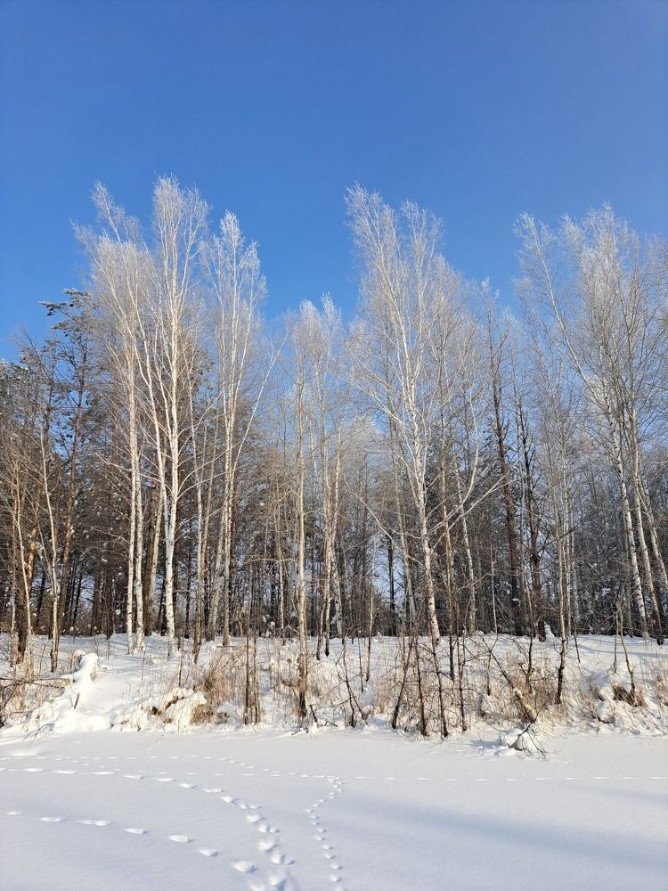 Photograph by Любовь Войтишина