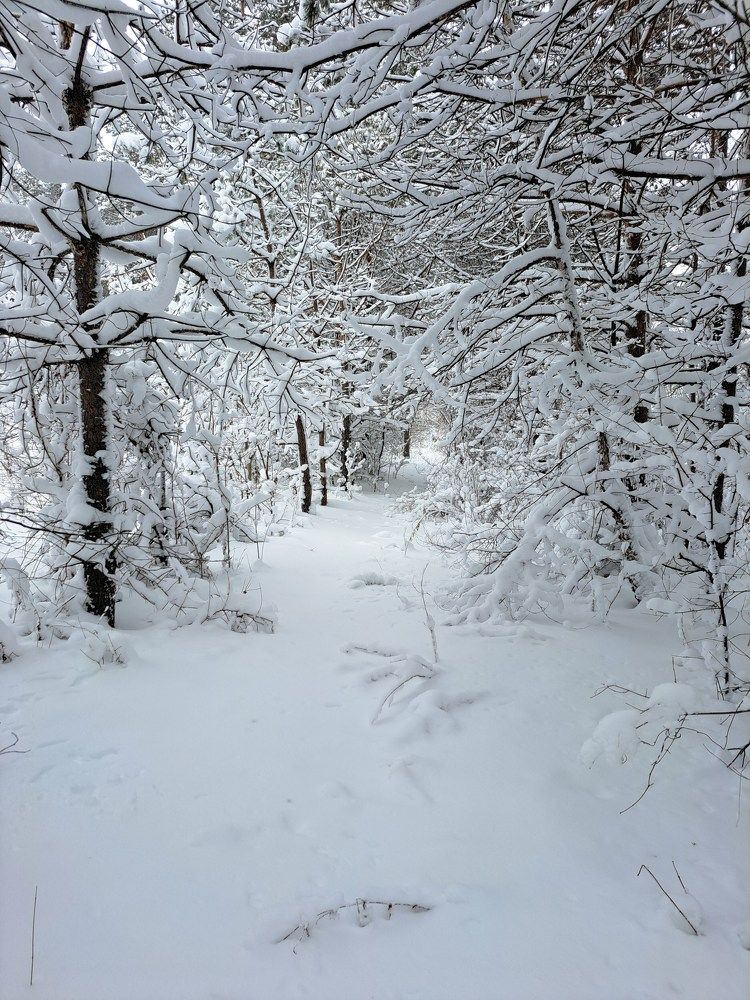 Photograph by Любовь Войтишина