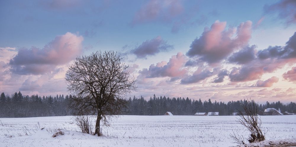 Photograph by  AlexSa