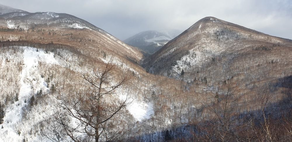 Photograph by Денис Заславский