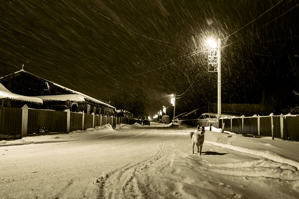 Photograph by Дмитрий Гривцов https://t.me/photoGDIlive