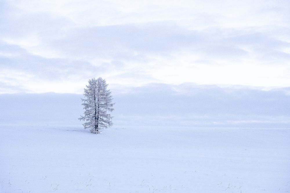 Photograph by Дмитрий Гривцов https://t.me/photoGDIlive