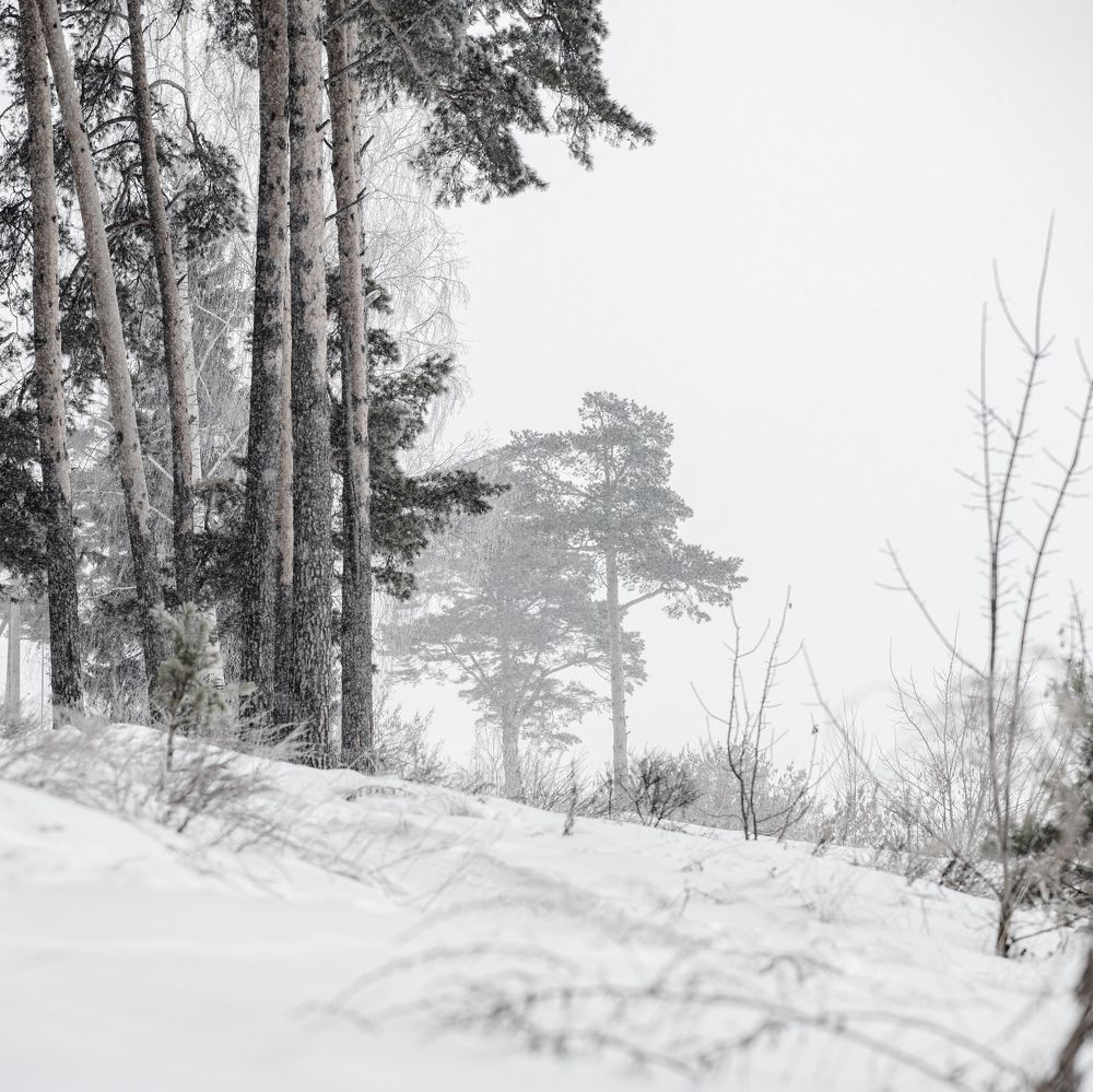 Photograph by Ксения Шилина