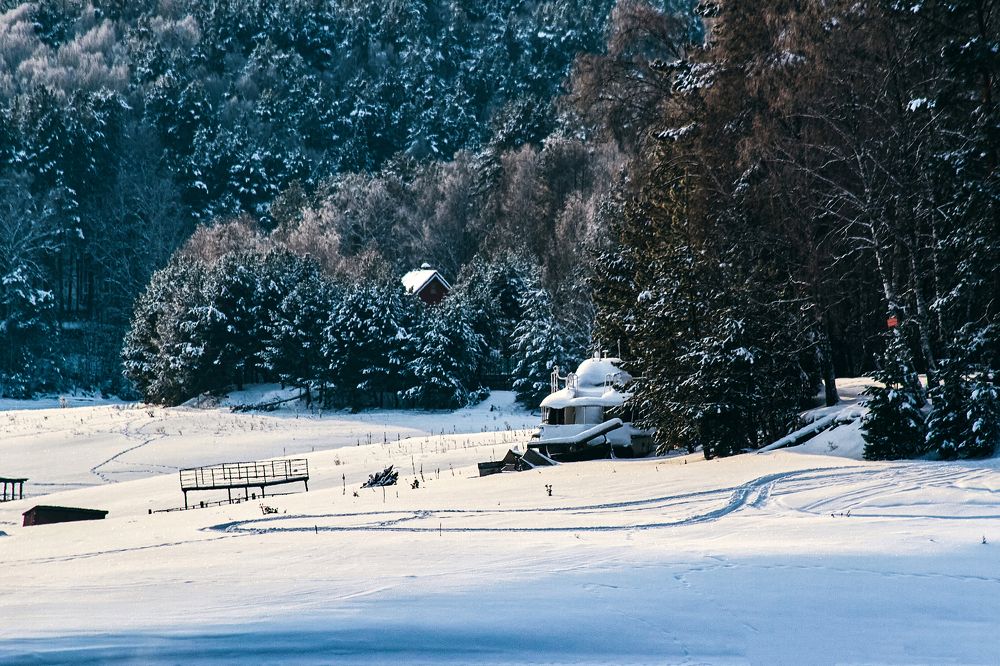 Photograph by DRAW ALEX