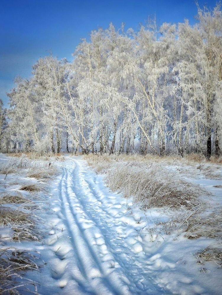 На окраине посёлка