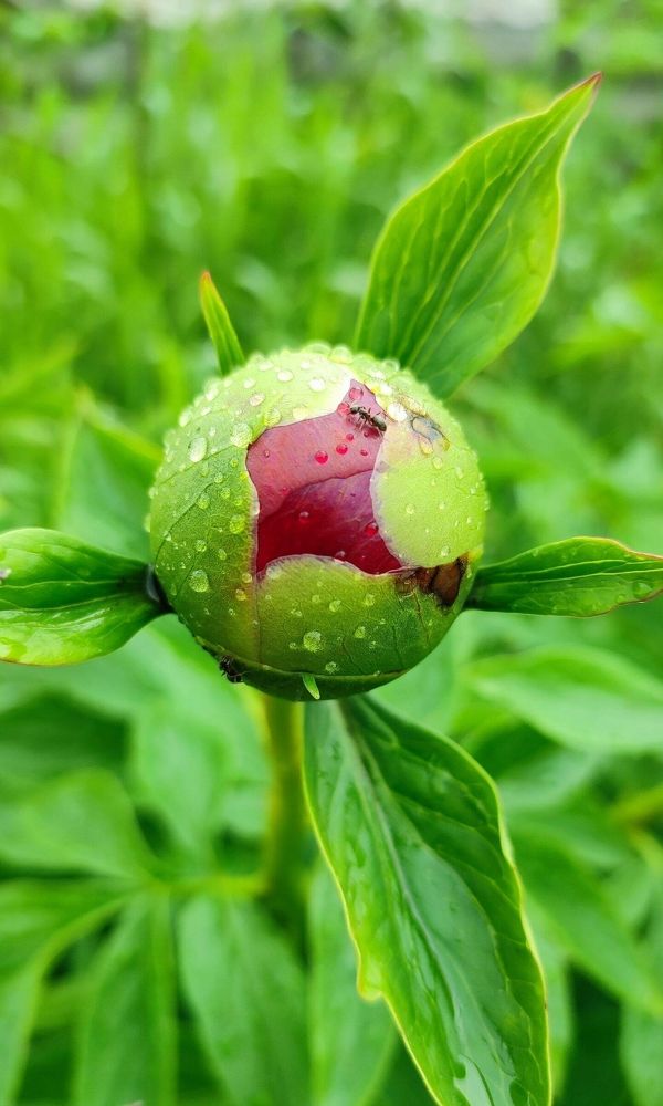 Photograph by Полина