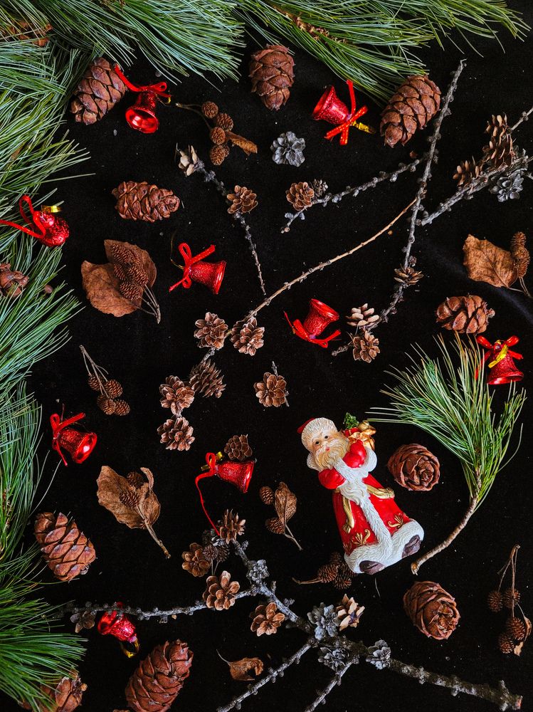 Фотография автора Казакова Людмила Ивановна