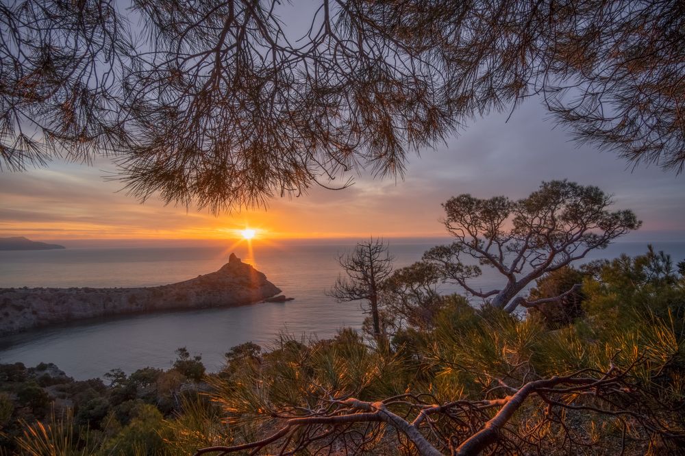 Photograph by Кривцов Андрей