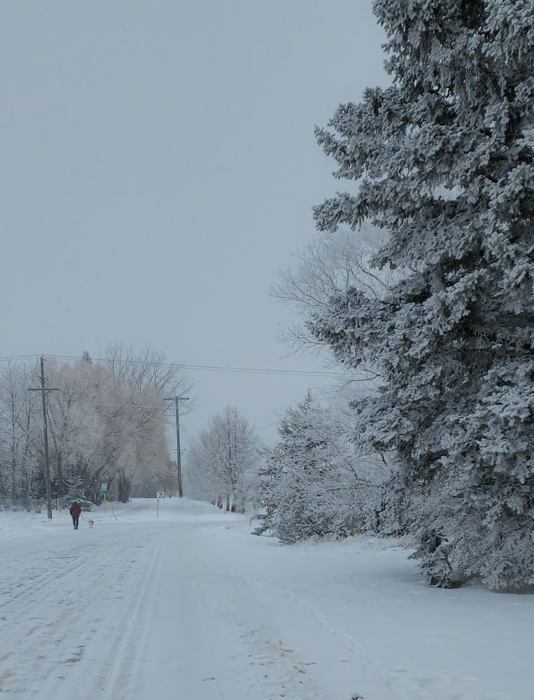 Фотография автора Al