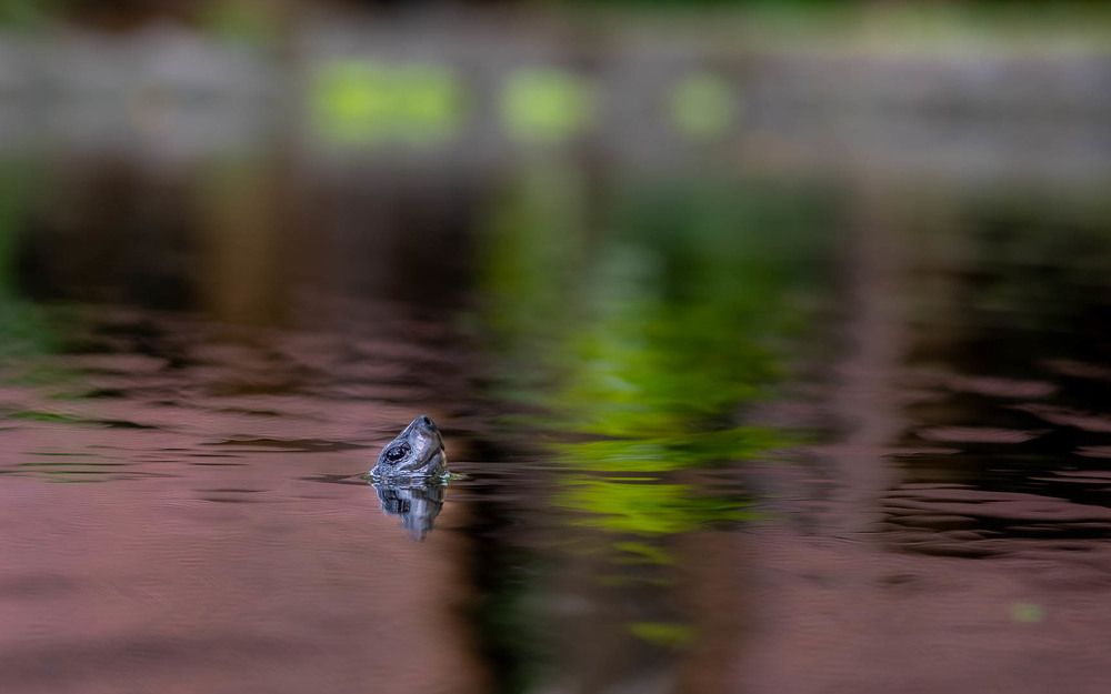 Photograph by Yuganthan Nallusamy