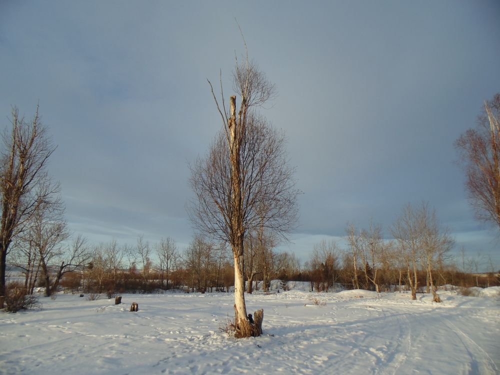 Photo #11702087