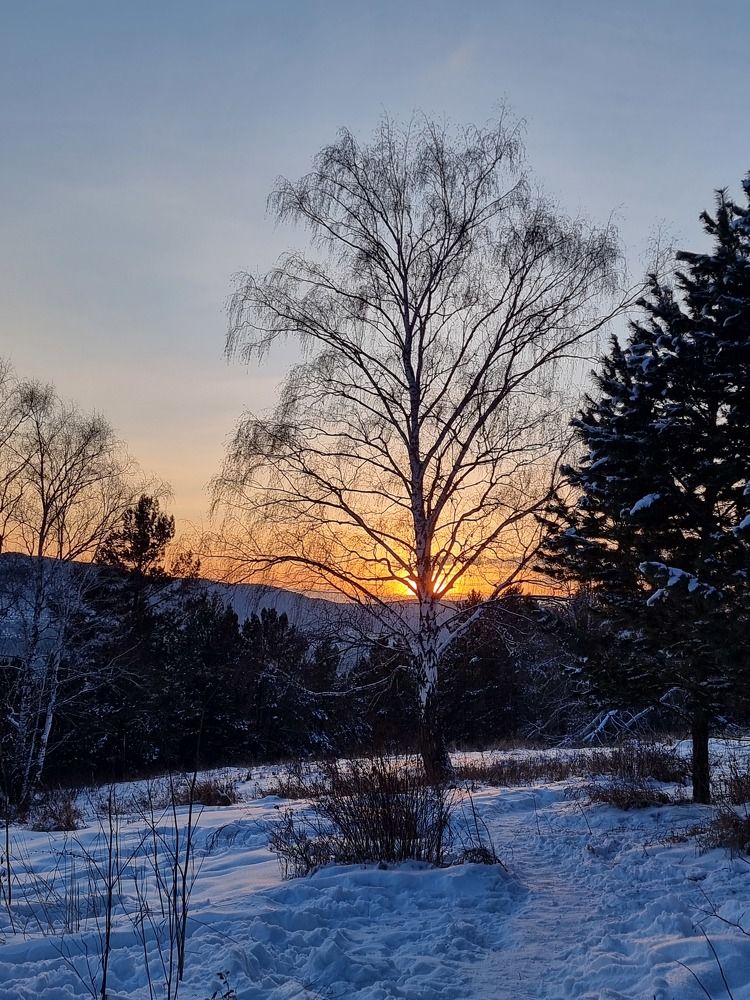 Photograph by Лилия Шарифуллина