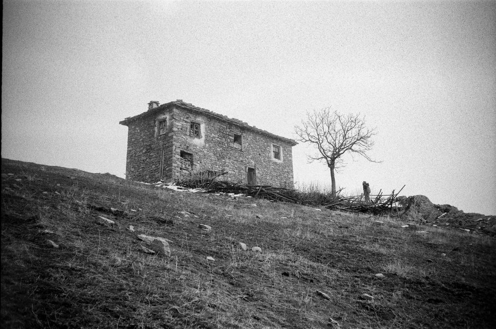 Film Mumdjidam hamlet