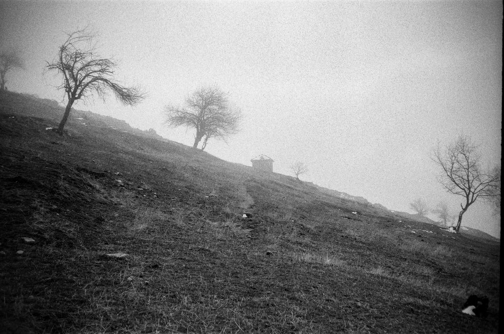 Film Mumdjidam hamlet