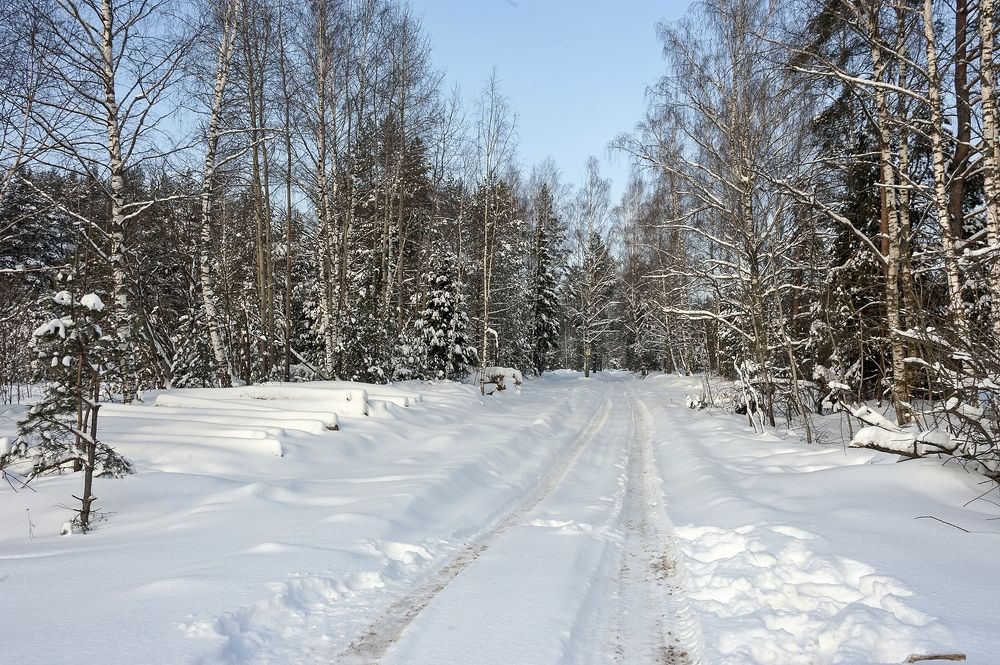 Photograph by Валерий Клейменов