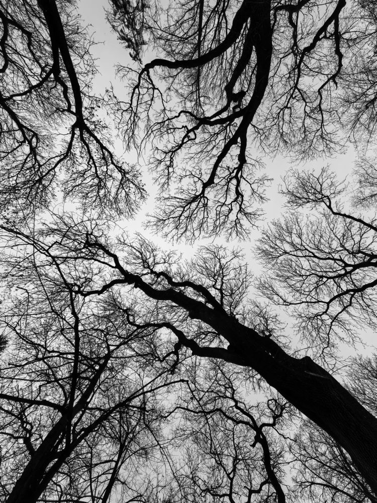 Photograph by Кривенко Владимир